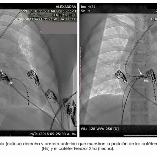 inicio - Corporativo Hospital Satélite® 38 svg+xml;charset=utf