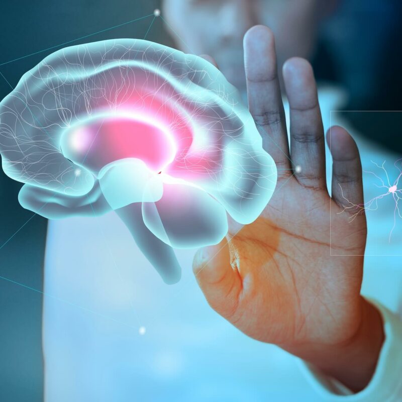 Tratamiento del mes 1 brain 2