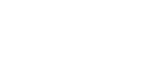 logo chs white