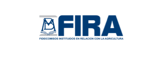 logo-fira svg+xml;charset=utf