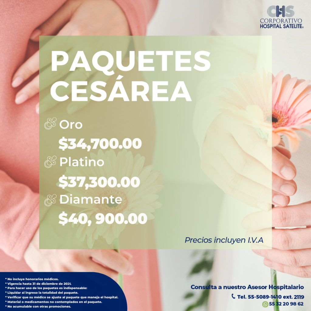 1 svg+xml;charset=utf