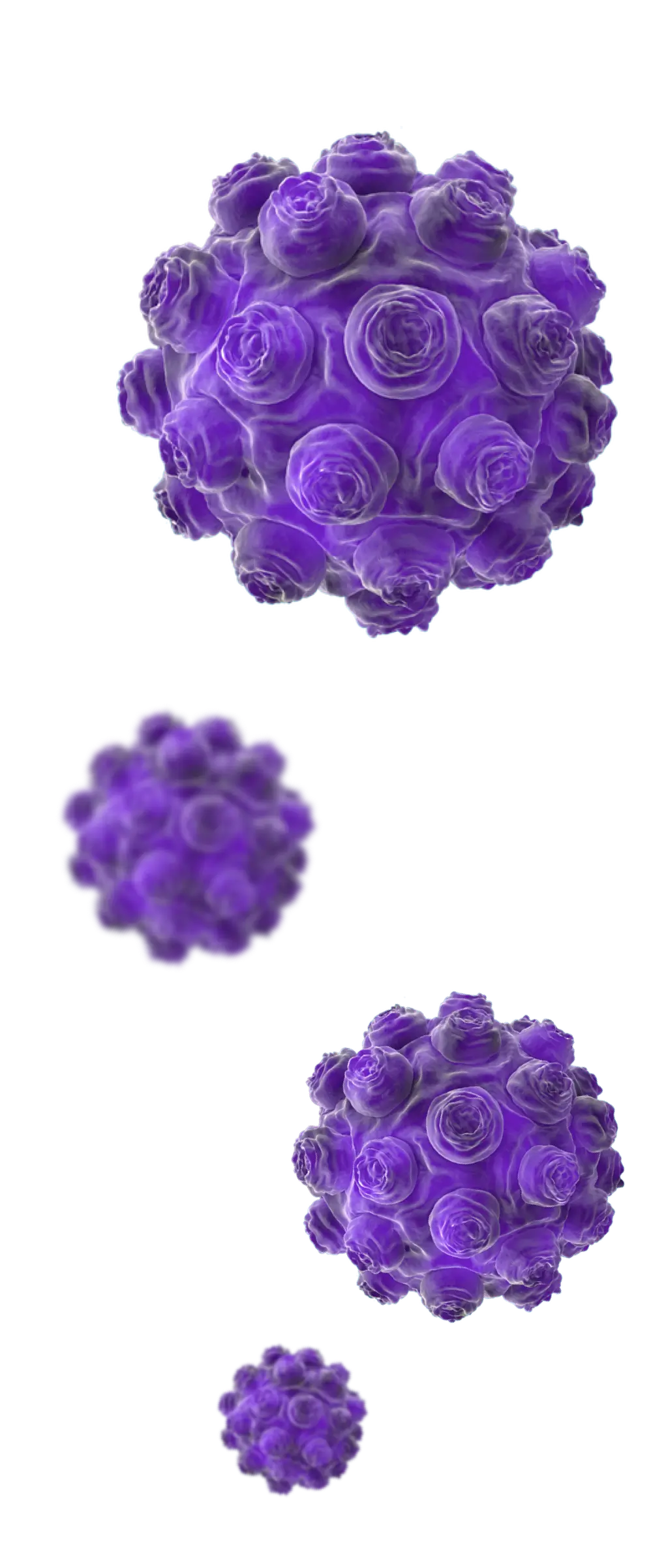 SARAMPIÓN Prevención, Diagnóstico, Vacunaciónen Niños y Adultos. 1 virus sarampion